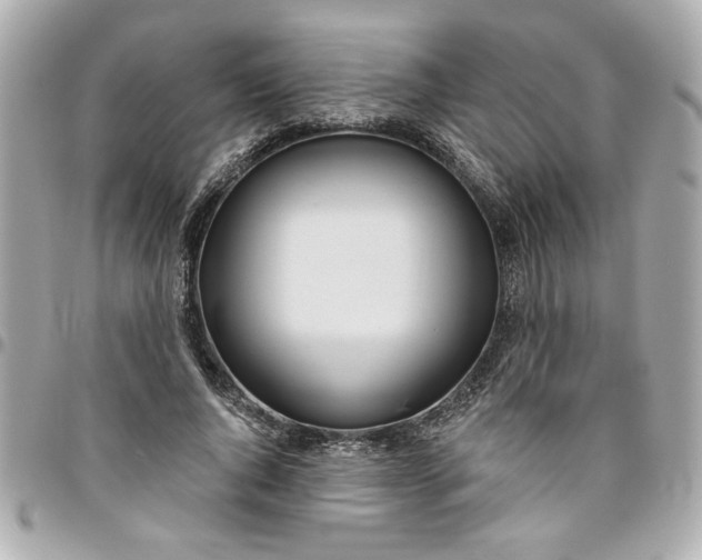 X0000096490736200802071942