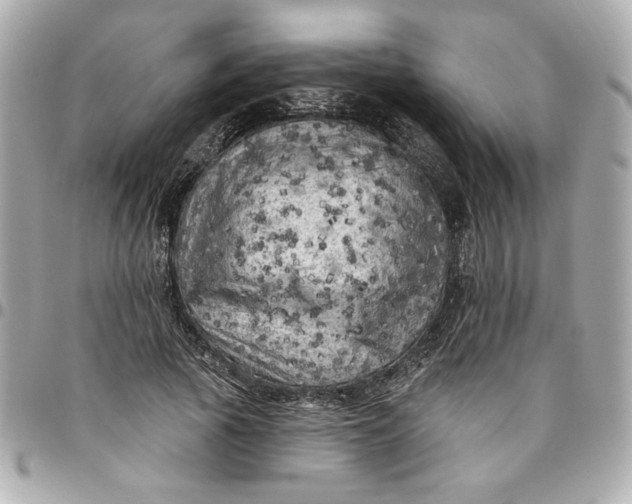 X0000096490737200802071942