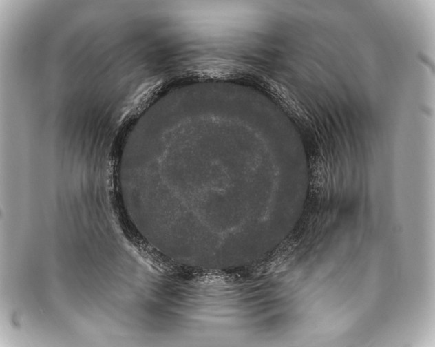 X0000096490738200802071942