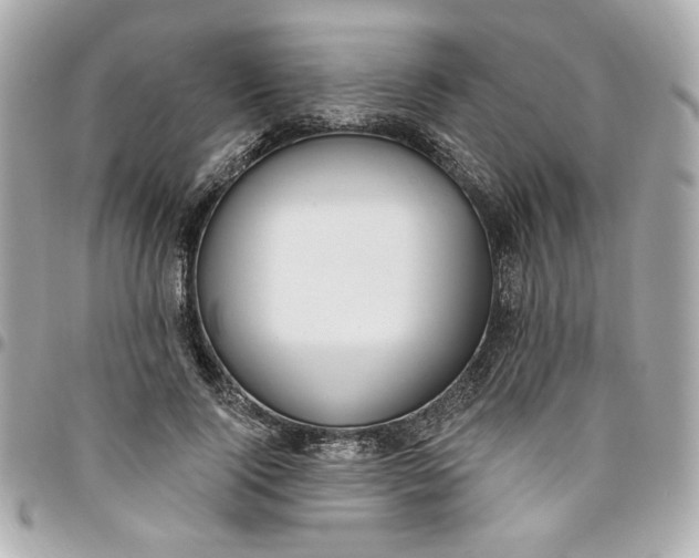 X0000096490740200802071942