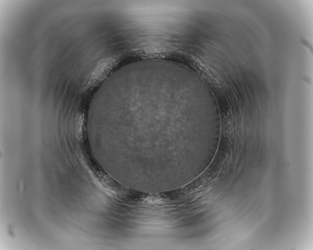 X0000096490742200802071942