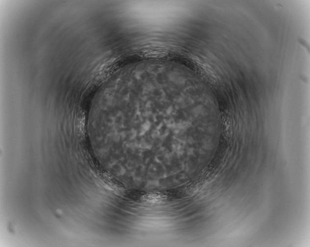 X0000096490745200802071942