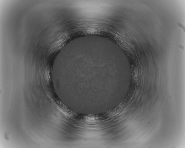 X0000096490746200802071942