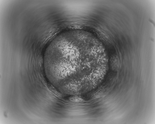 X0000096490747200802071942