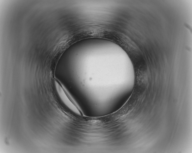 X0000096490748200802071942