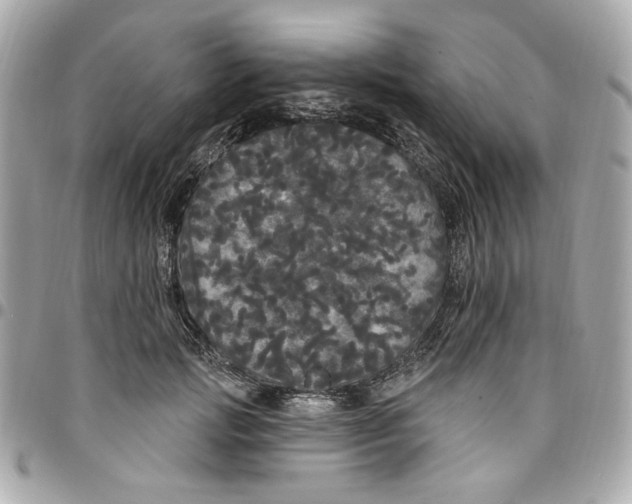 X0000096490749200802071942