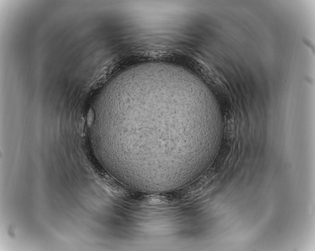 X0000096490750200802071942