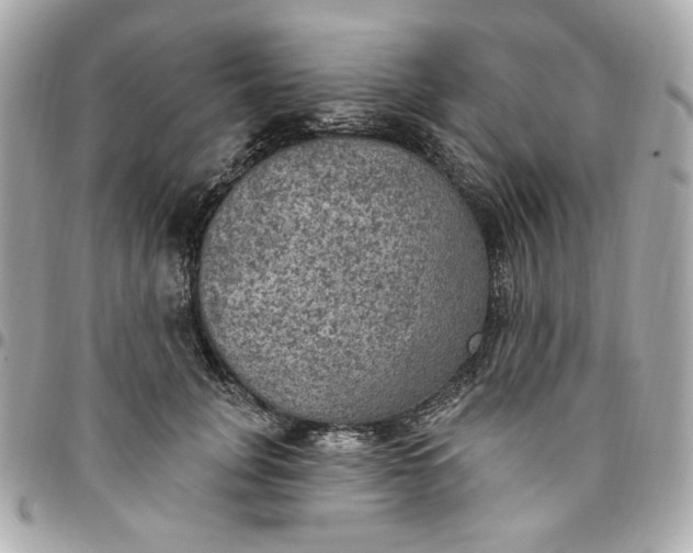 X0000096490751200802071942