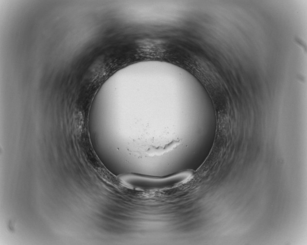 X0000096490752200802071942