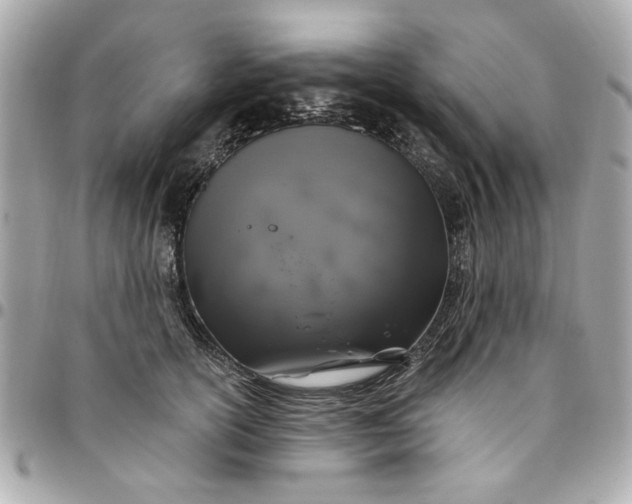 X0000096490754200802071942