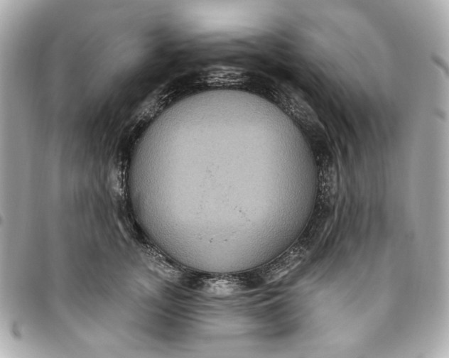 X0000096490755200802071942