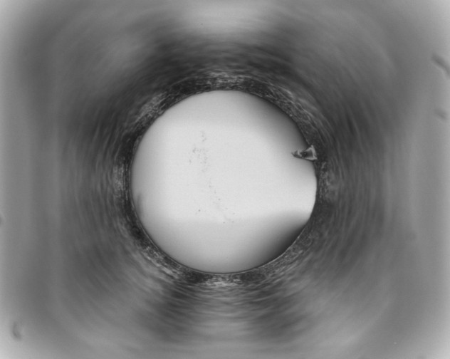 X0000096490756200802071942