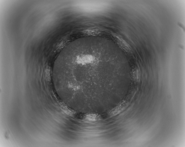 X0000096490757200802071942