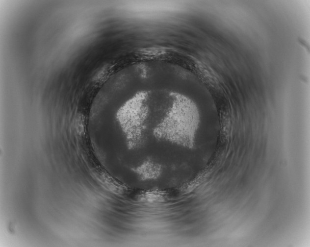 X0000096490758200802071942