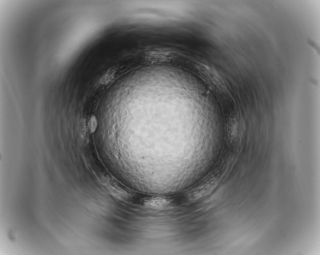 X0000096490759200802071942