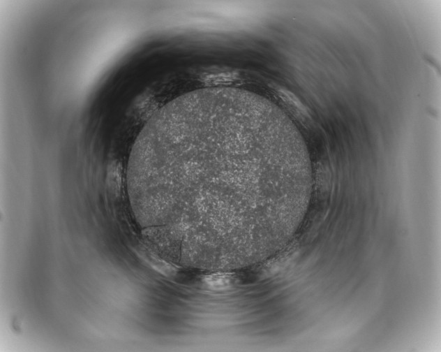 X0000096490761200802071942