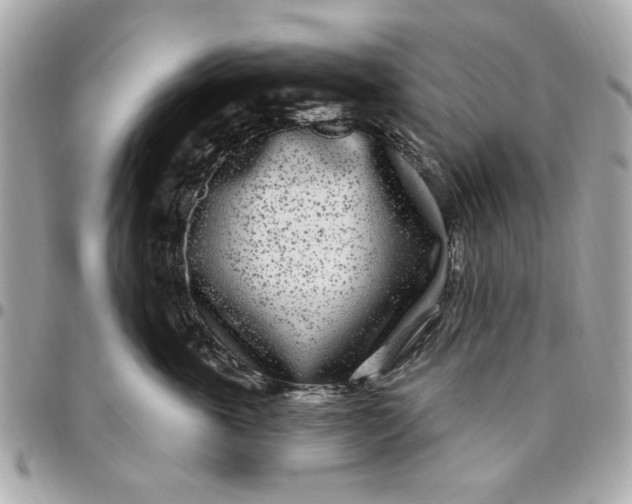 X0000096490763200802071942