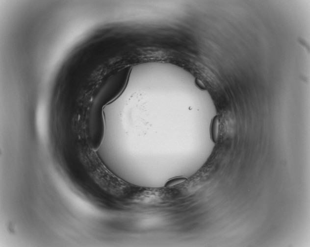 X0000096490764200802071942