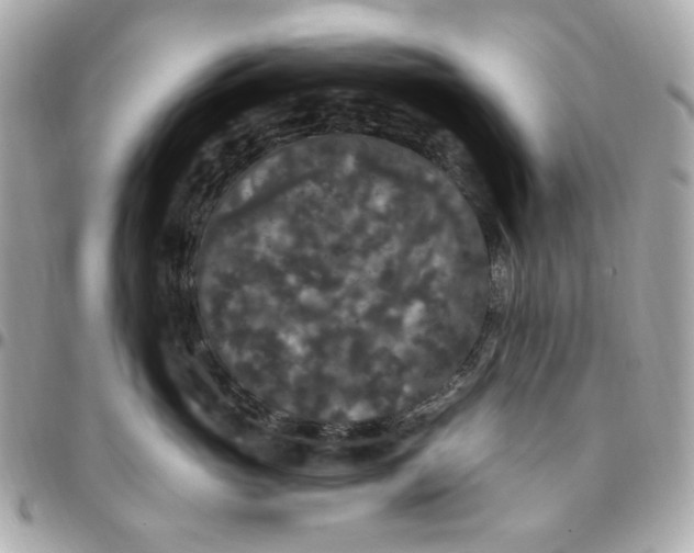 X0000096490765200802071942