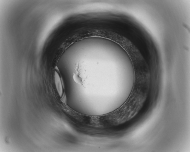 X0000096490766200802071942