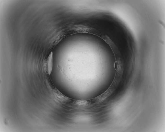 X0000096490767200802071942