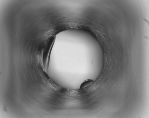 X0000096490768200802071942