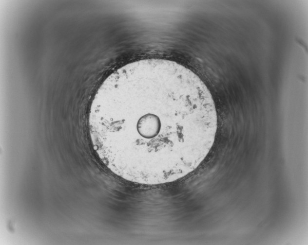 X0000096490769200802071941