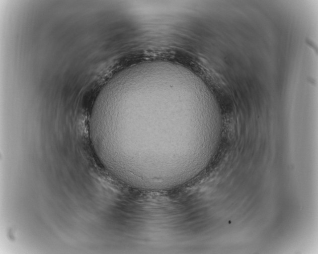 X0000096490770200802071941