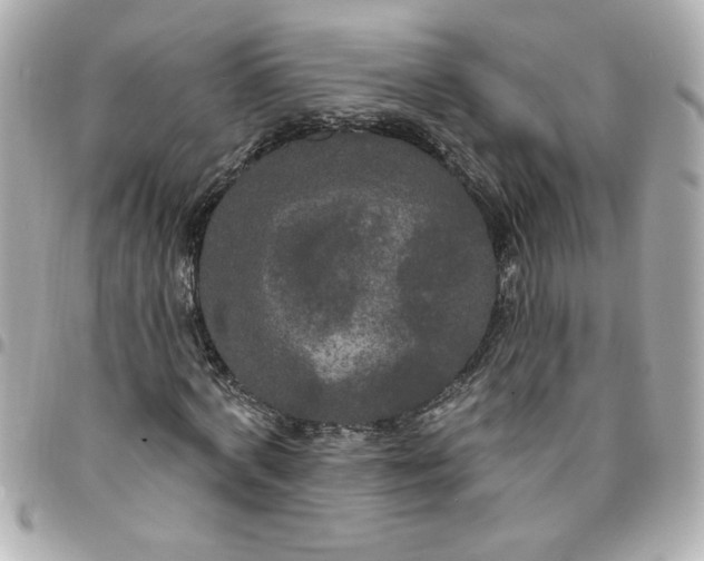 X0000096490772200802071941