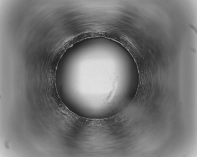 X0000096490773200802071941