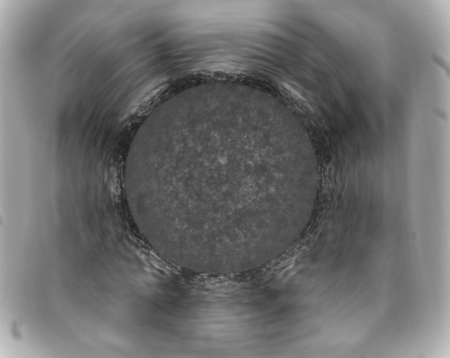 X0000096490774200802071941