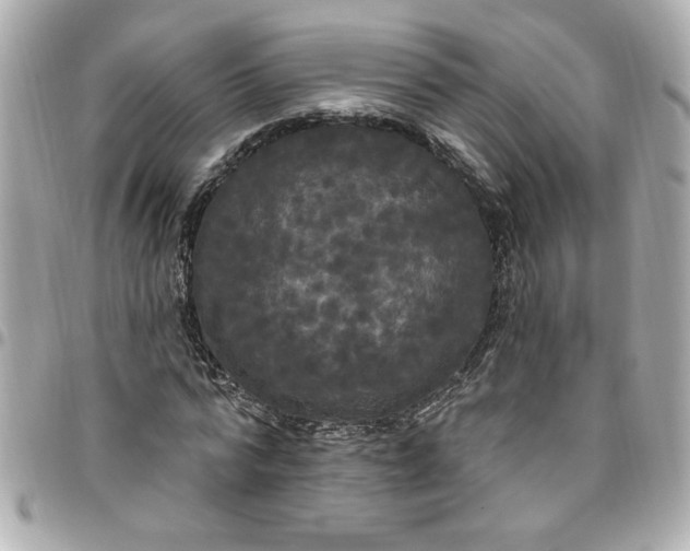 X0000096490776200802071941