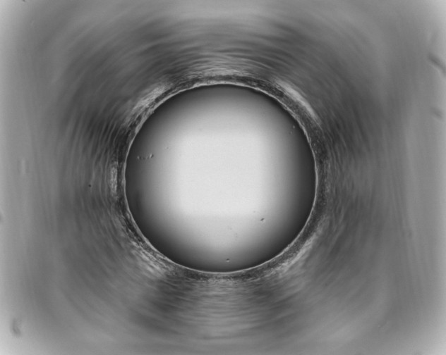 X0000096490777200802071941