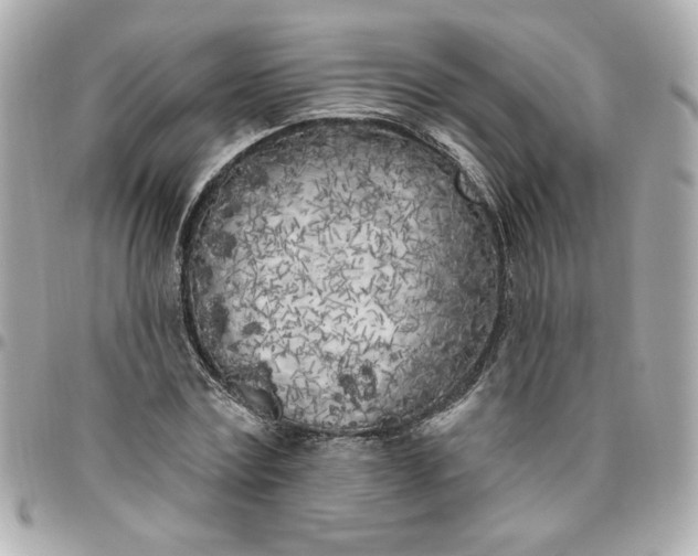 X0000096490779200802071941