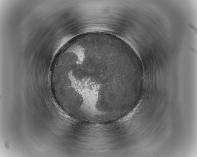 X0000096490783200802071941