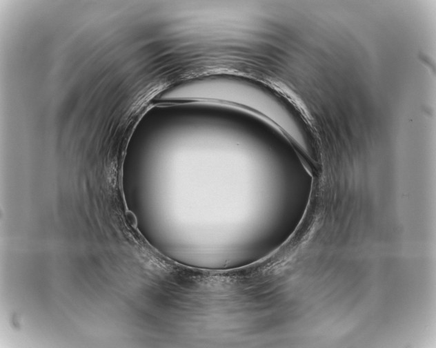 X0000096490785200802071941