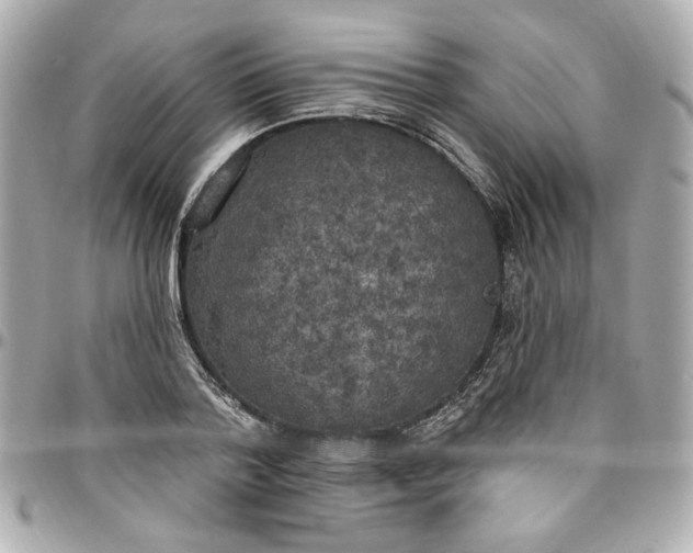 X0000096490788200802071941