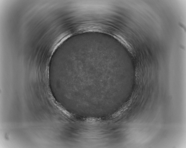 X0000096490790200802071941