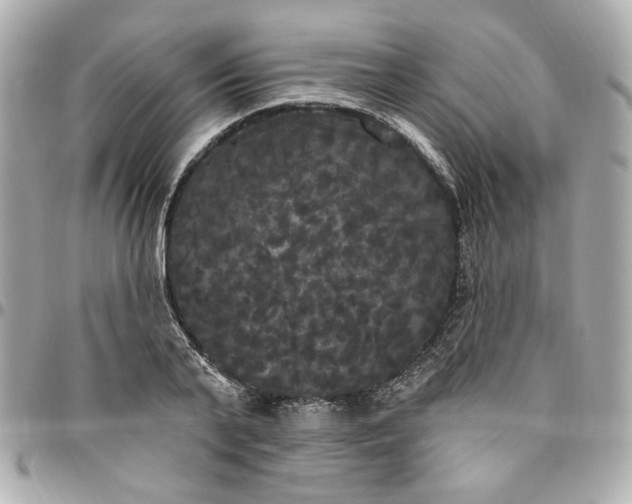 X0000096490791200802071941