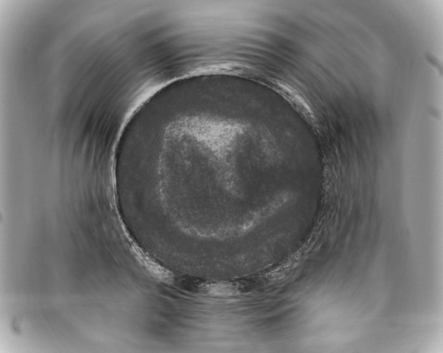 X0000096490792200802071941