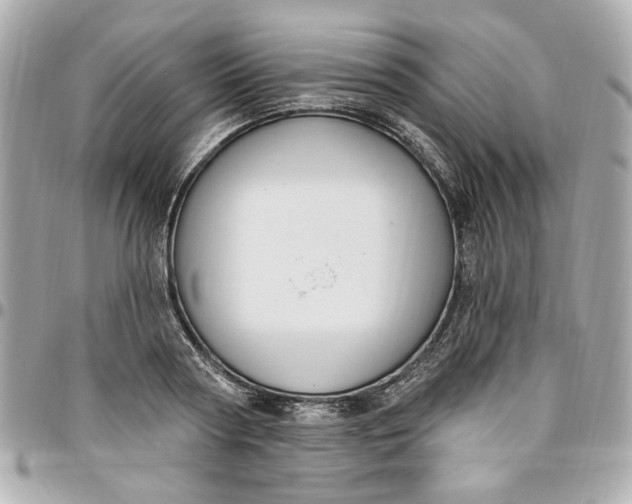 X0000096490794200802071941