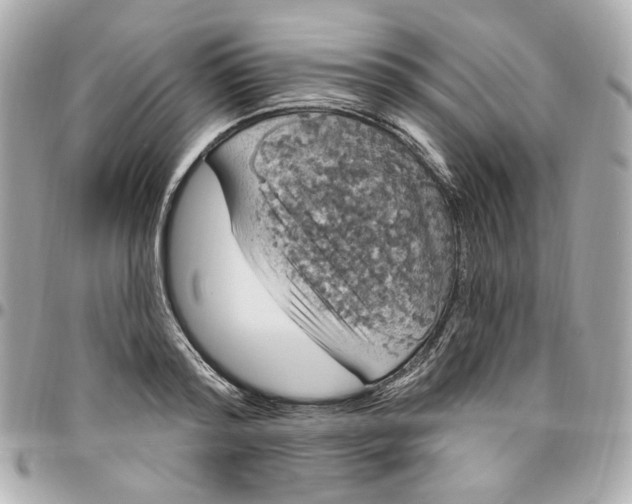 X0000096490796200802071941