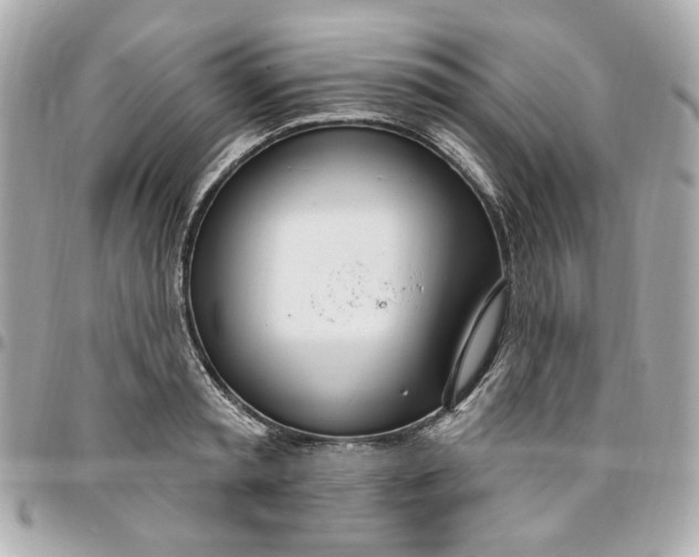 X0000096490797200802071941