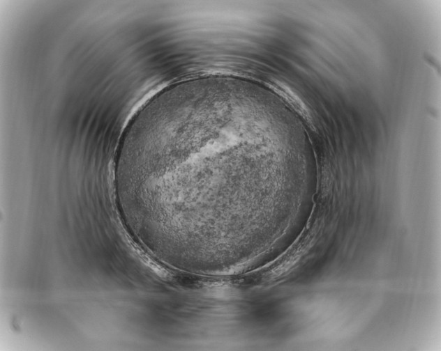 X0000096490798200802071941