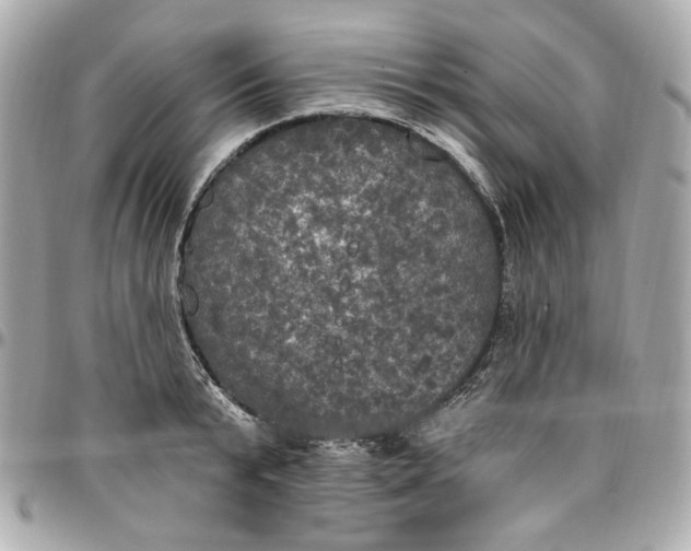 X0000096490799200802071941