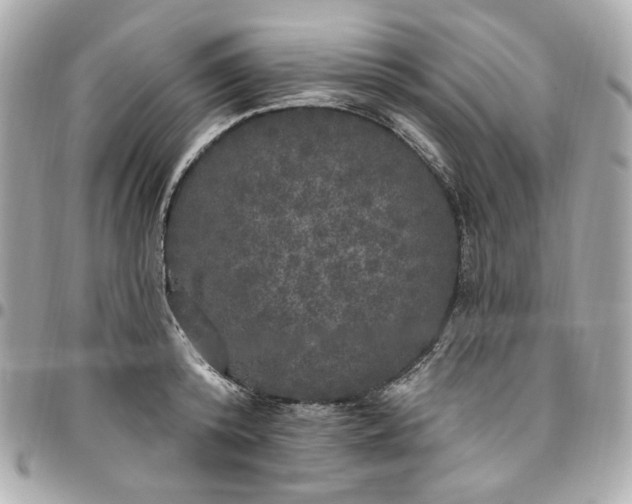 X0000096490800200802071941