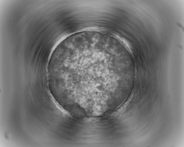 X0000096490808200802071941