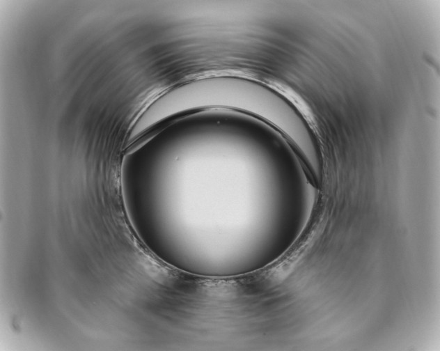 X0000096490809200802071941