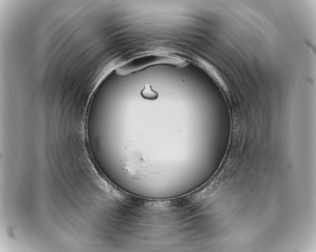 X0000096490810200802071941