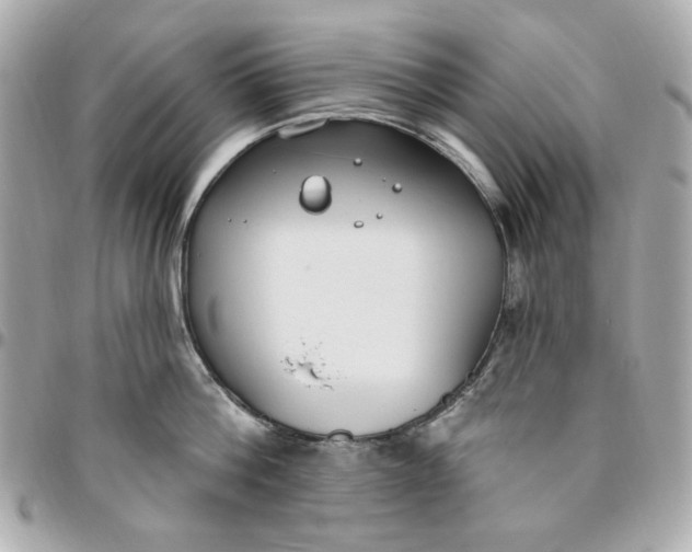 X0000096490812200802071941